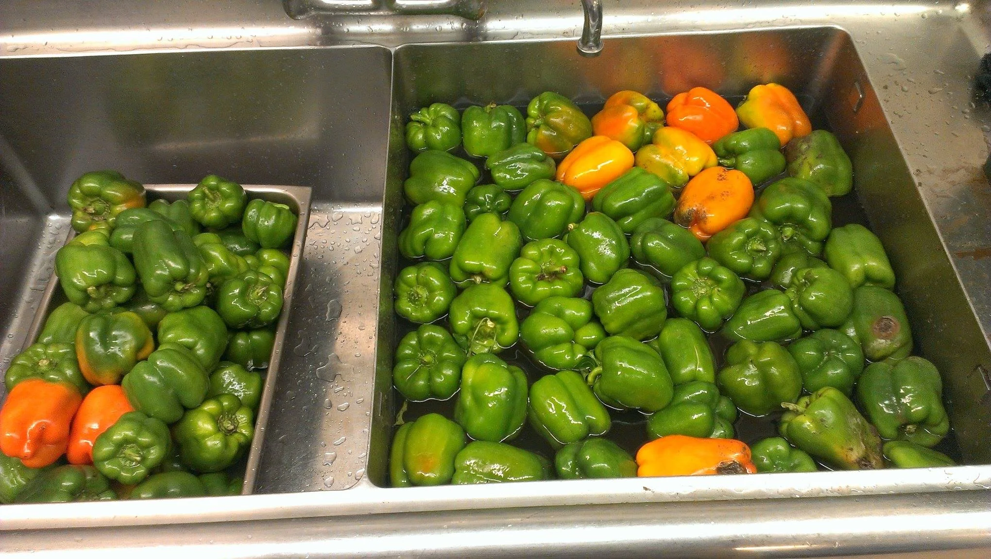 peppers_15274592749_o.jpg