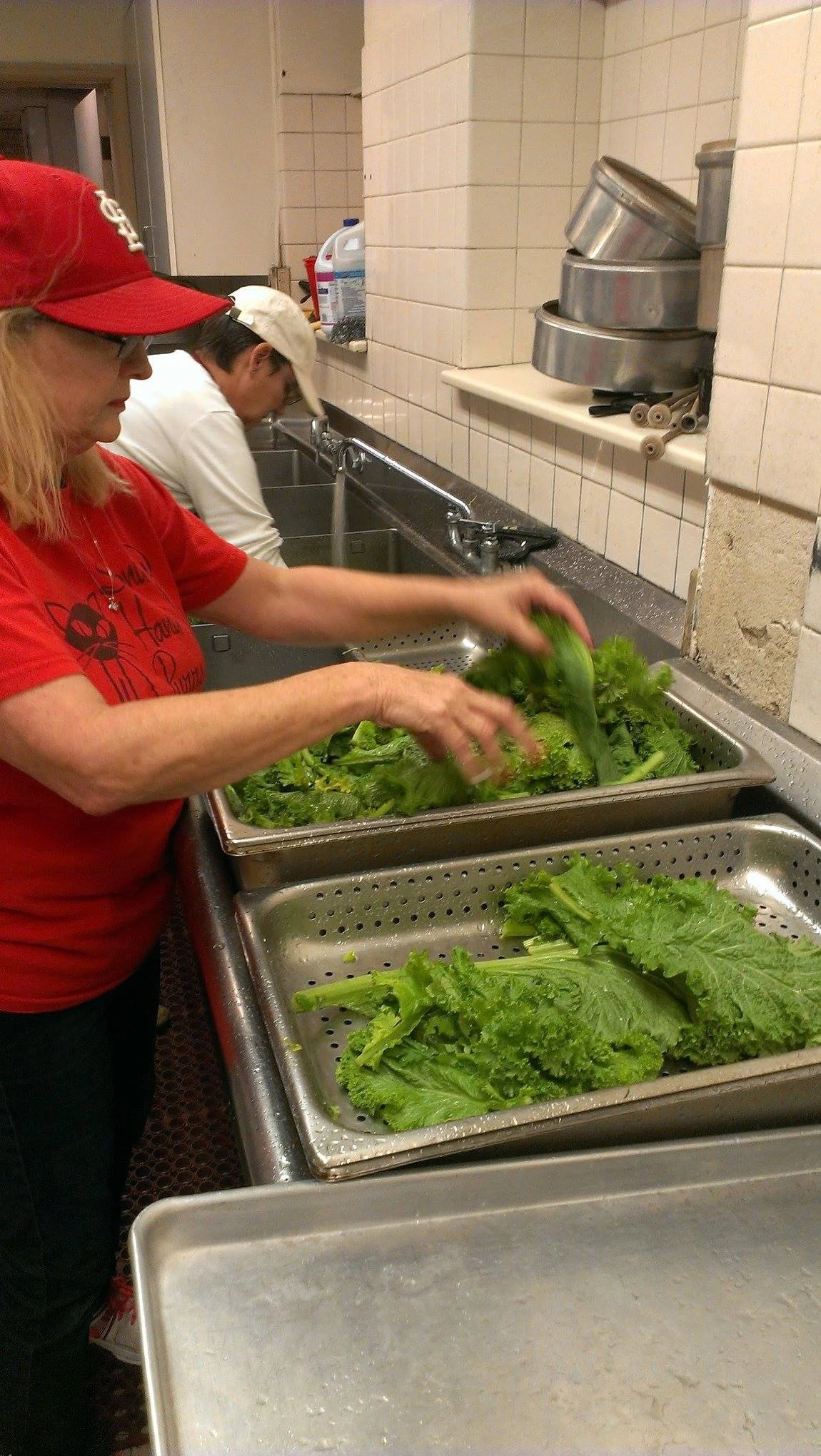 washing-greens_15488564719_o.jpg