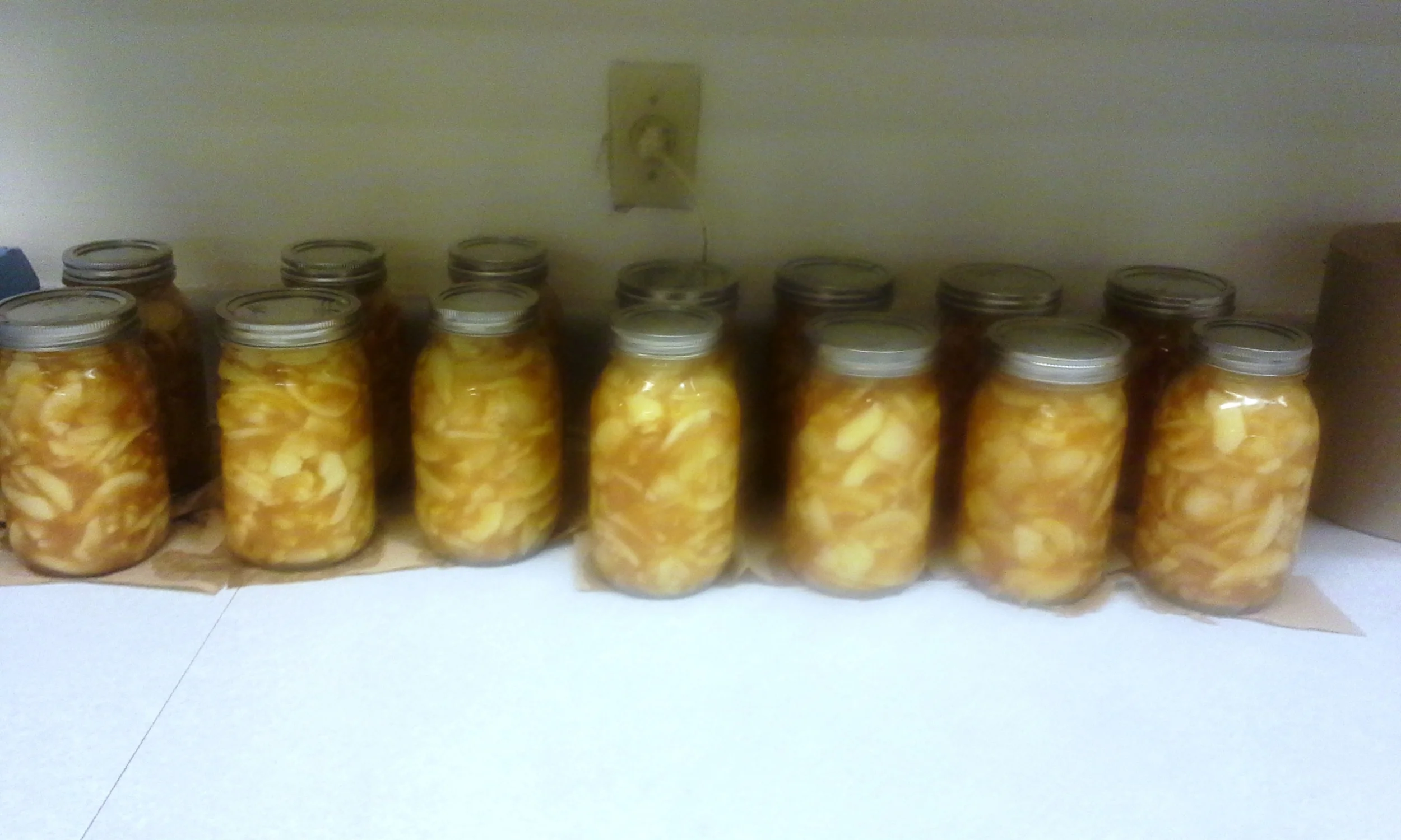 applepie2_15650742596_o.jpg