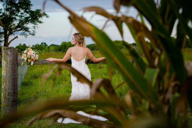wedd_062.jpg