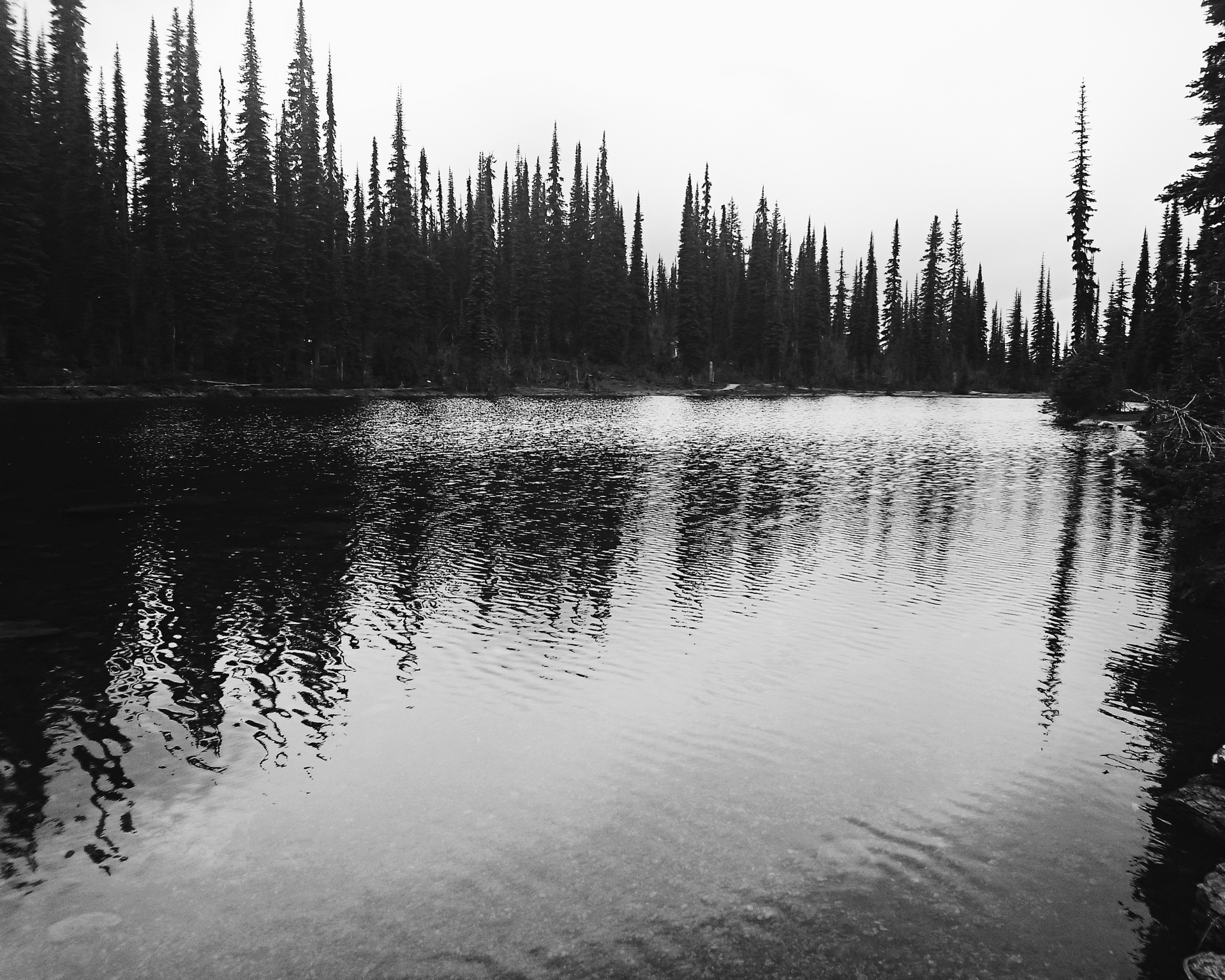 2015-07-19 03.27.29 1.jpg
