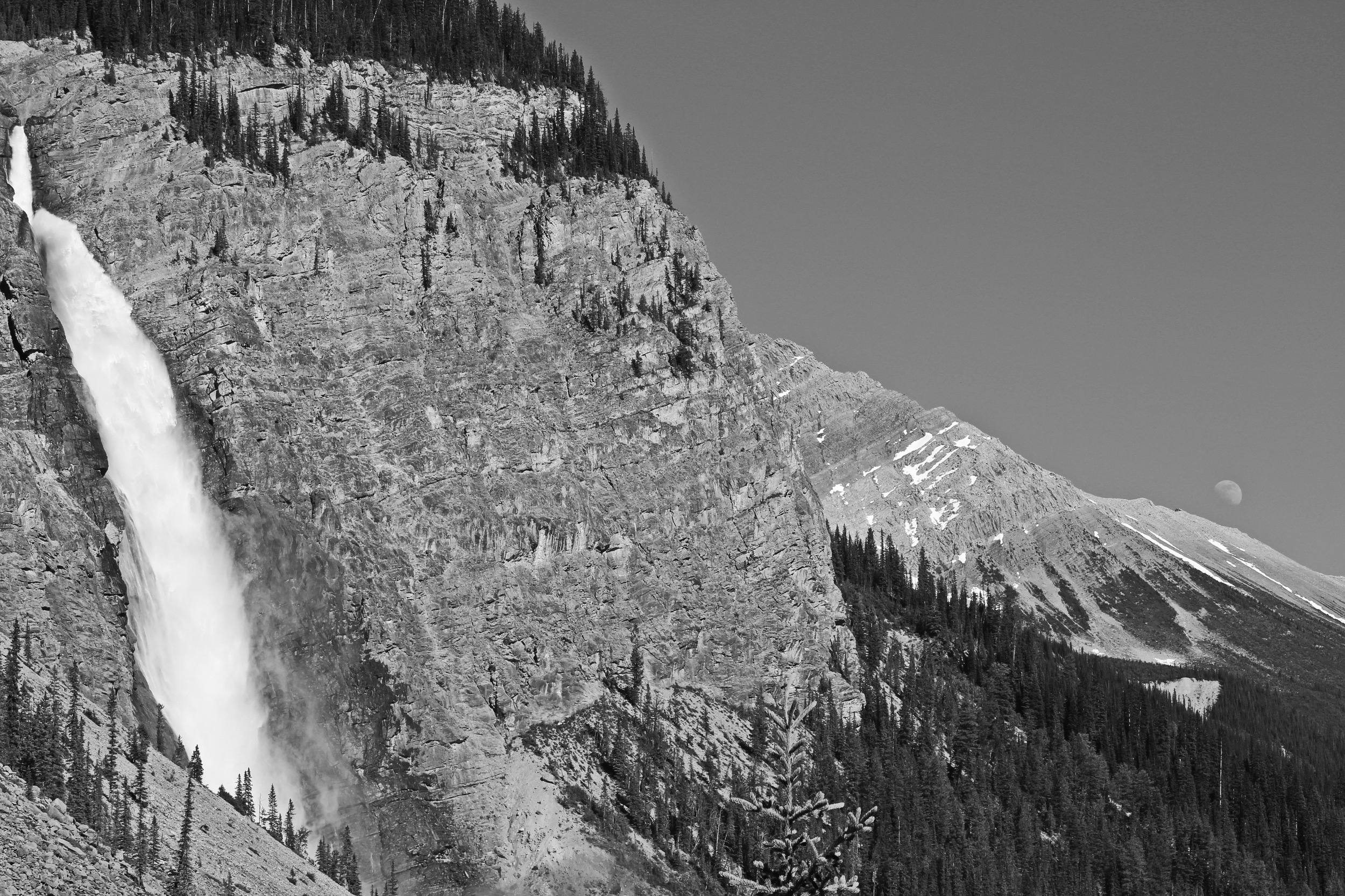 IMG_1604edbw.jpg