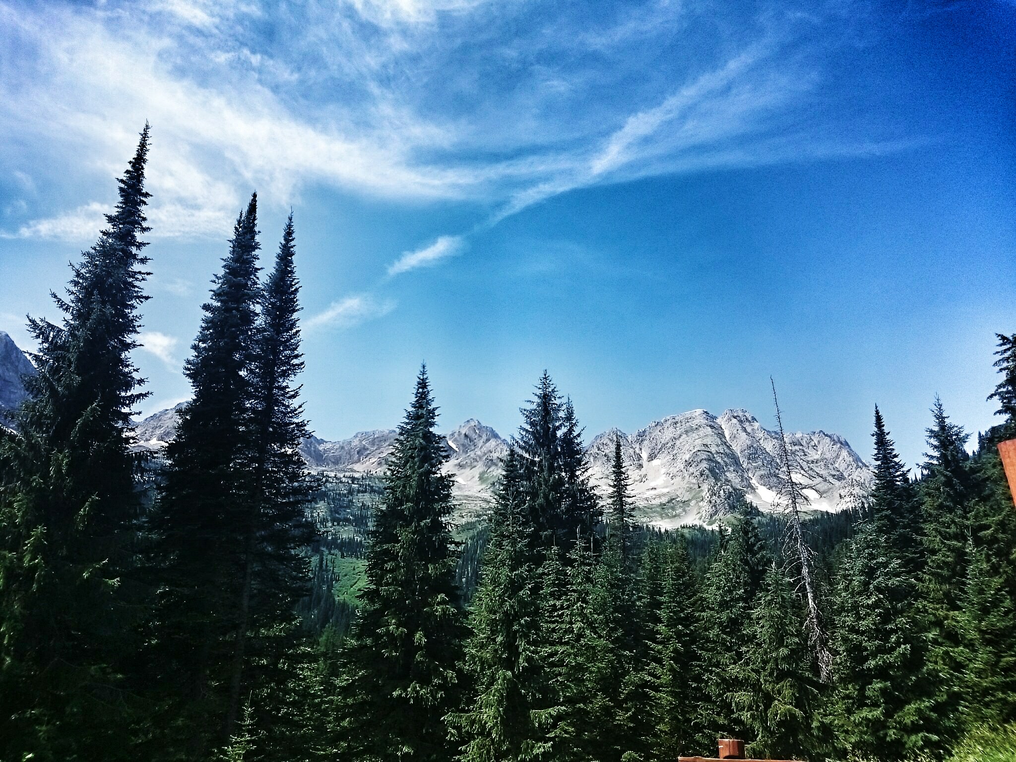 2015-07-03 01.22.11 1~2.jpg