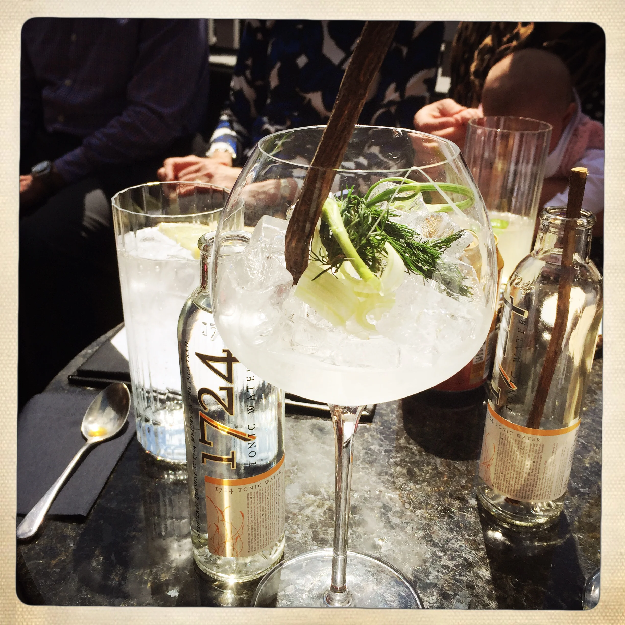 Tom's vegetable gin with celery and dill
