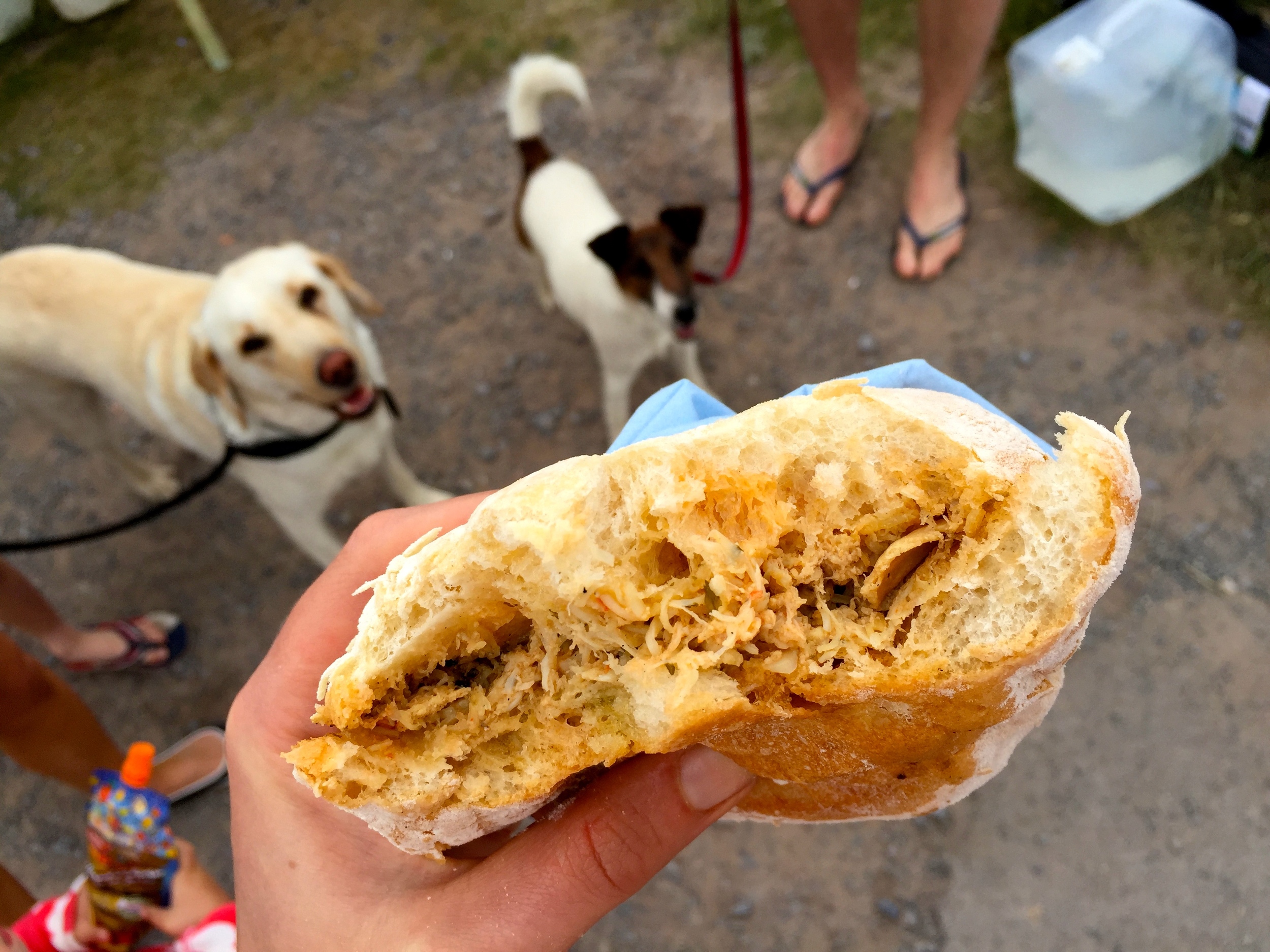 Crab. The dogs' fave.