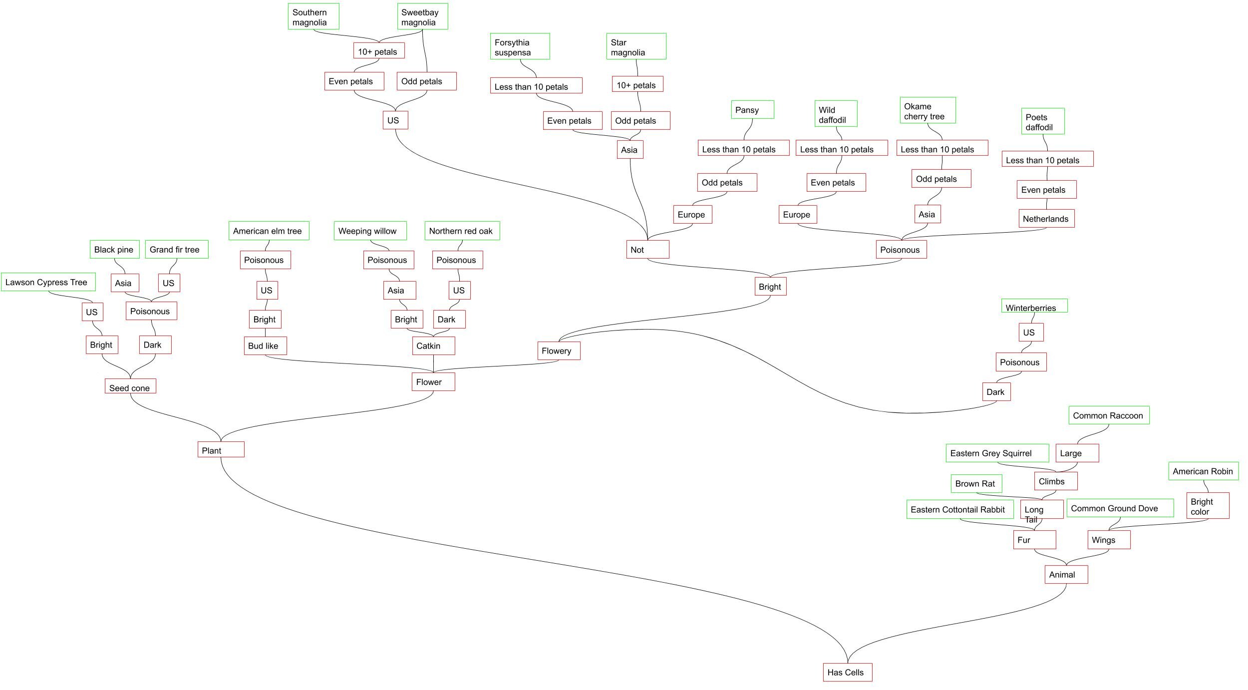Phylogenies