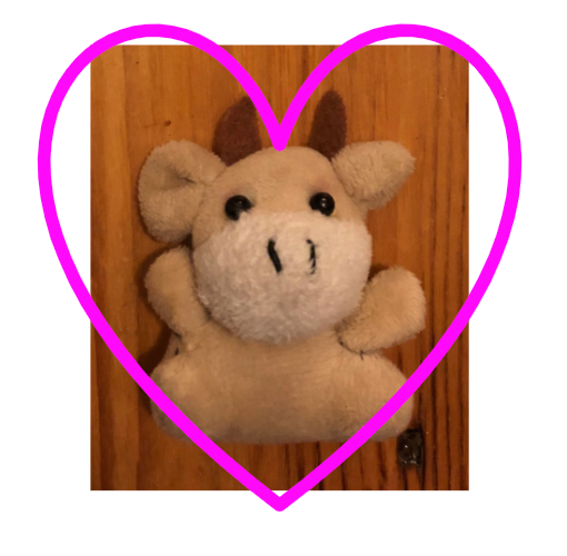 La mascota de la clase (A1)