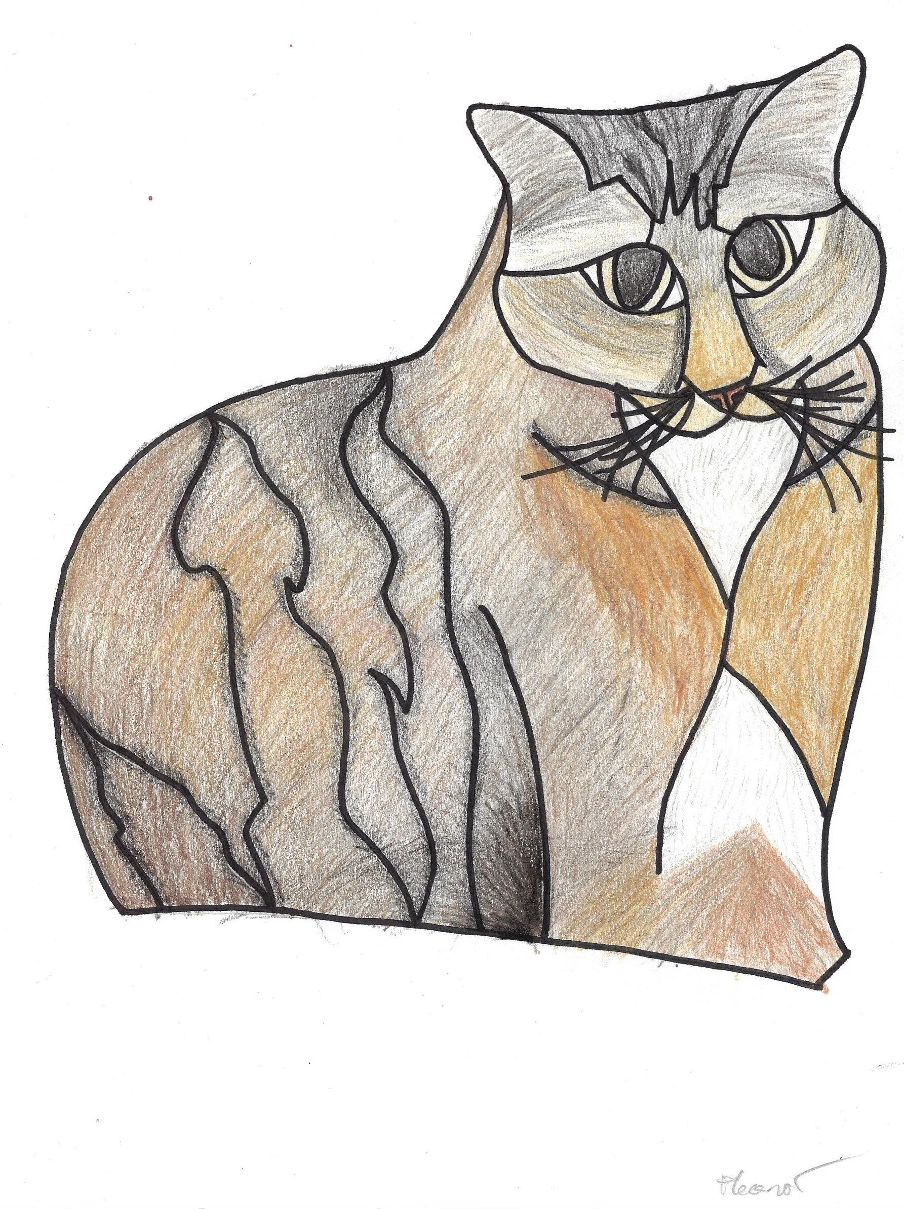 Portraits of People and Pets, Division 1