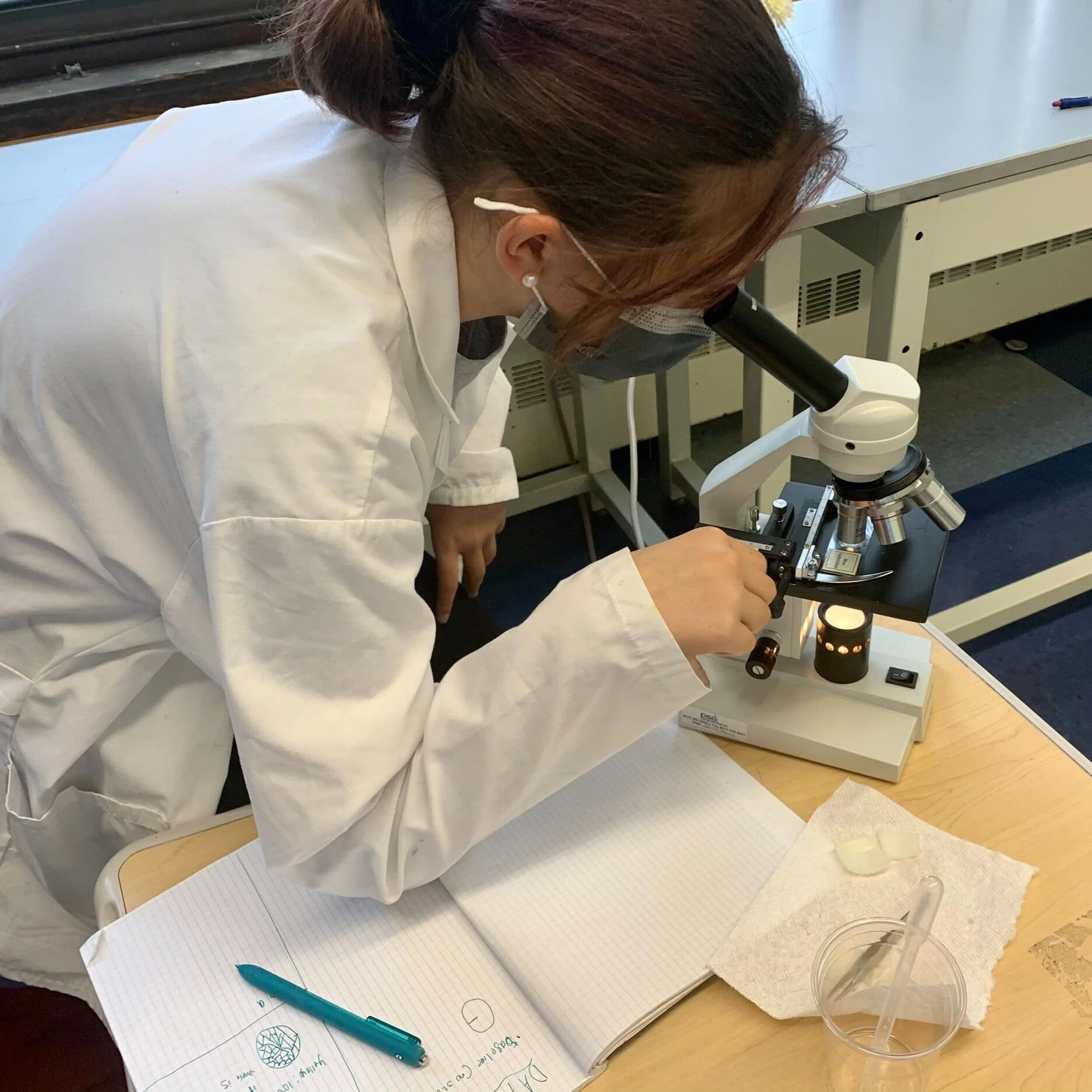 Onion Skin Lab Reports