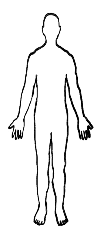 Esquema del Cuerpo Humano (Novice High)