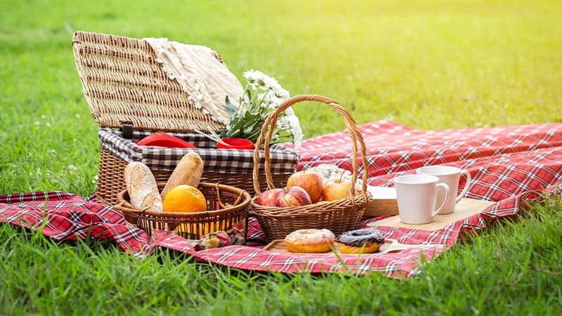 Le Picnic des Français!