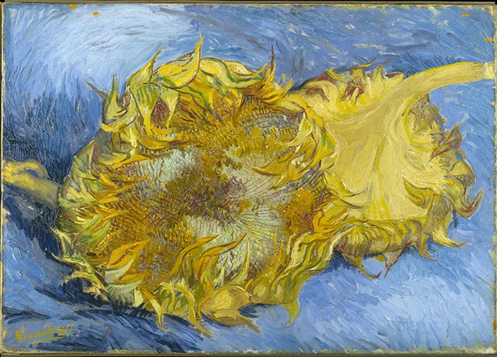 Vincent van Gogh's Sunflowers - He was known for faithfully painting what he saw