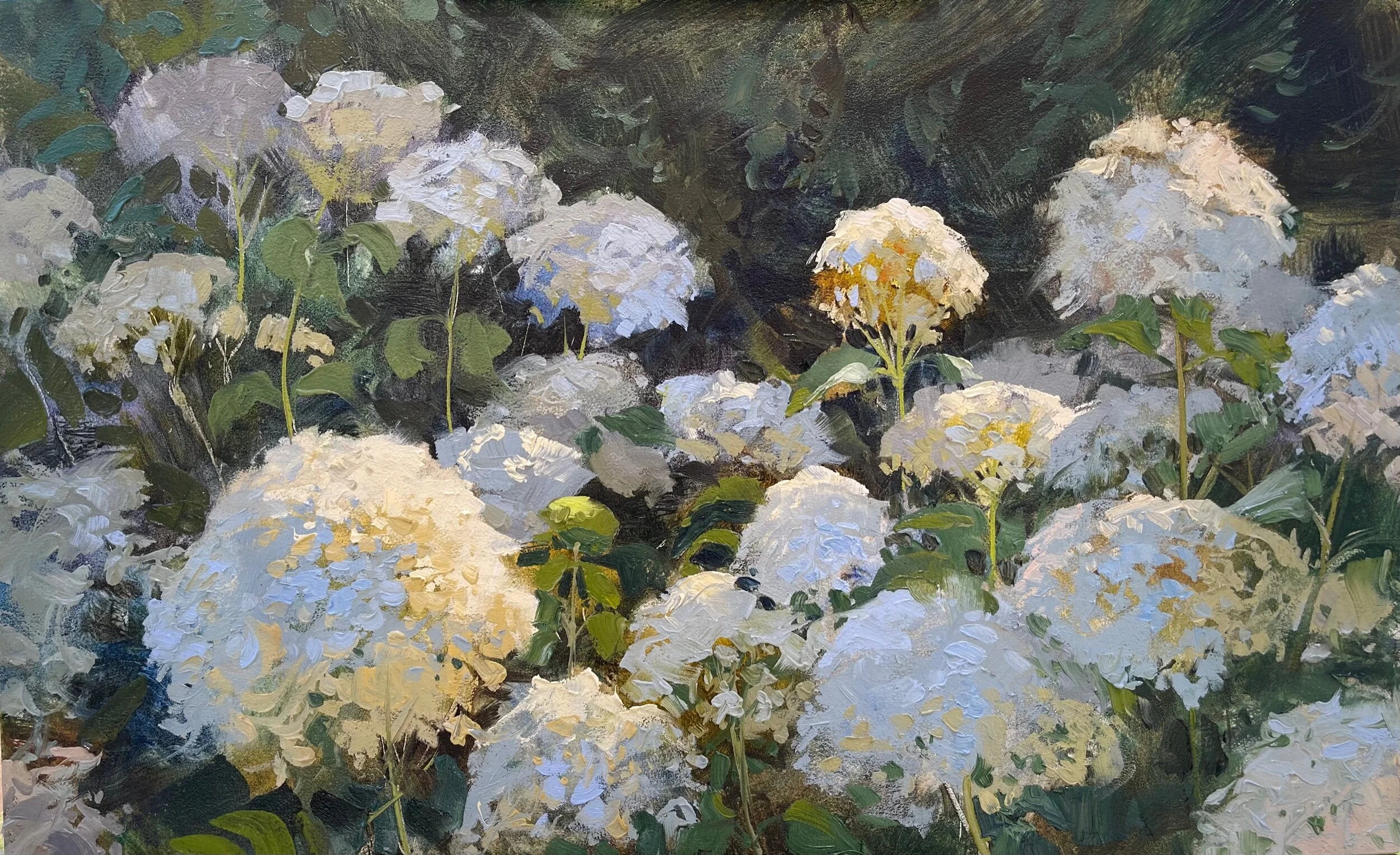 33A58AA1-C5FA-49F1-BBEF-A35667C309EC