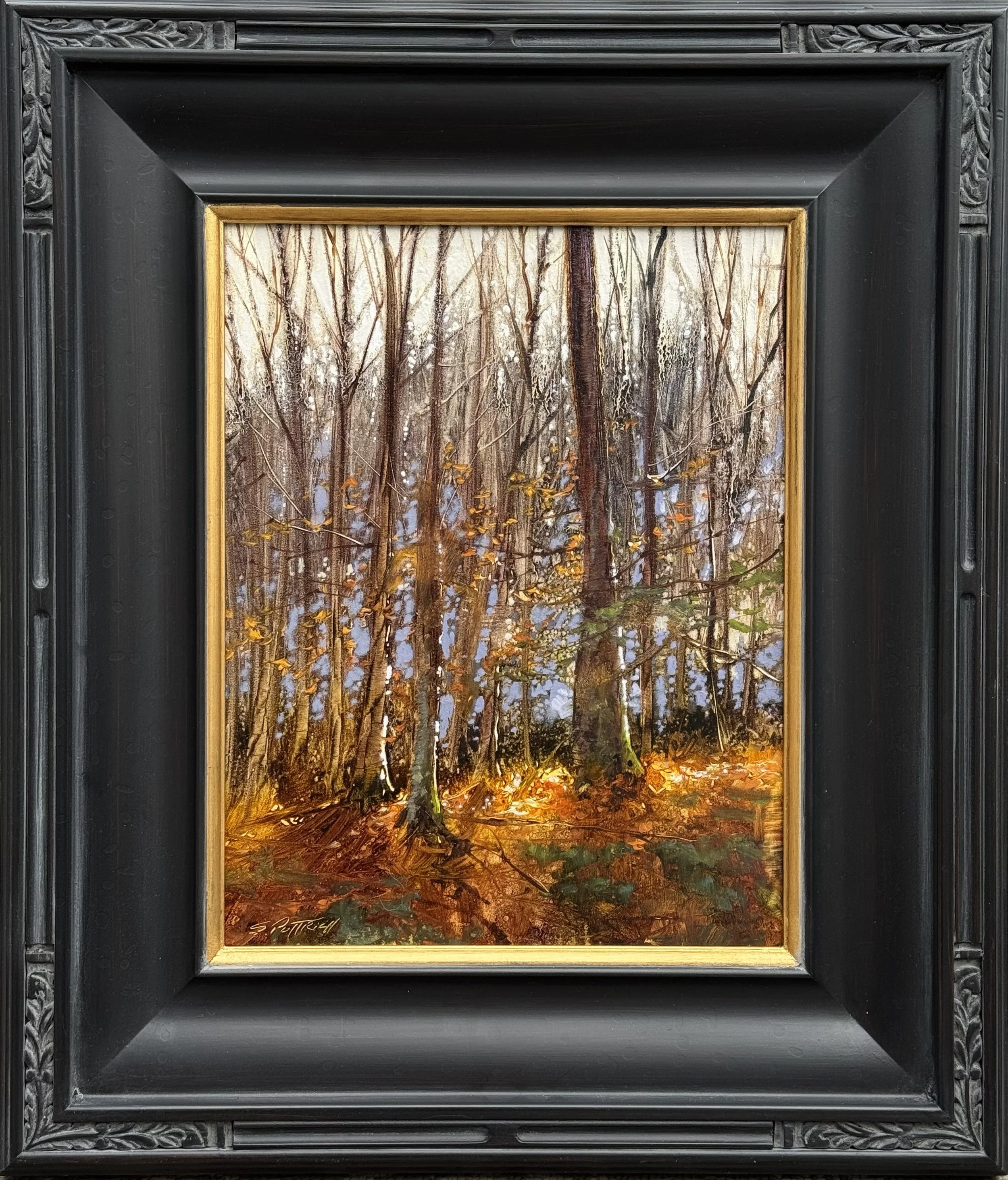 An Ancient Quiet.jpg