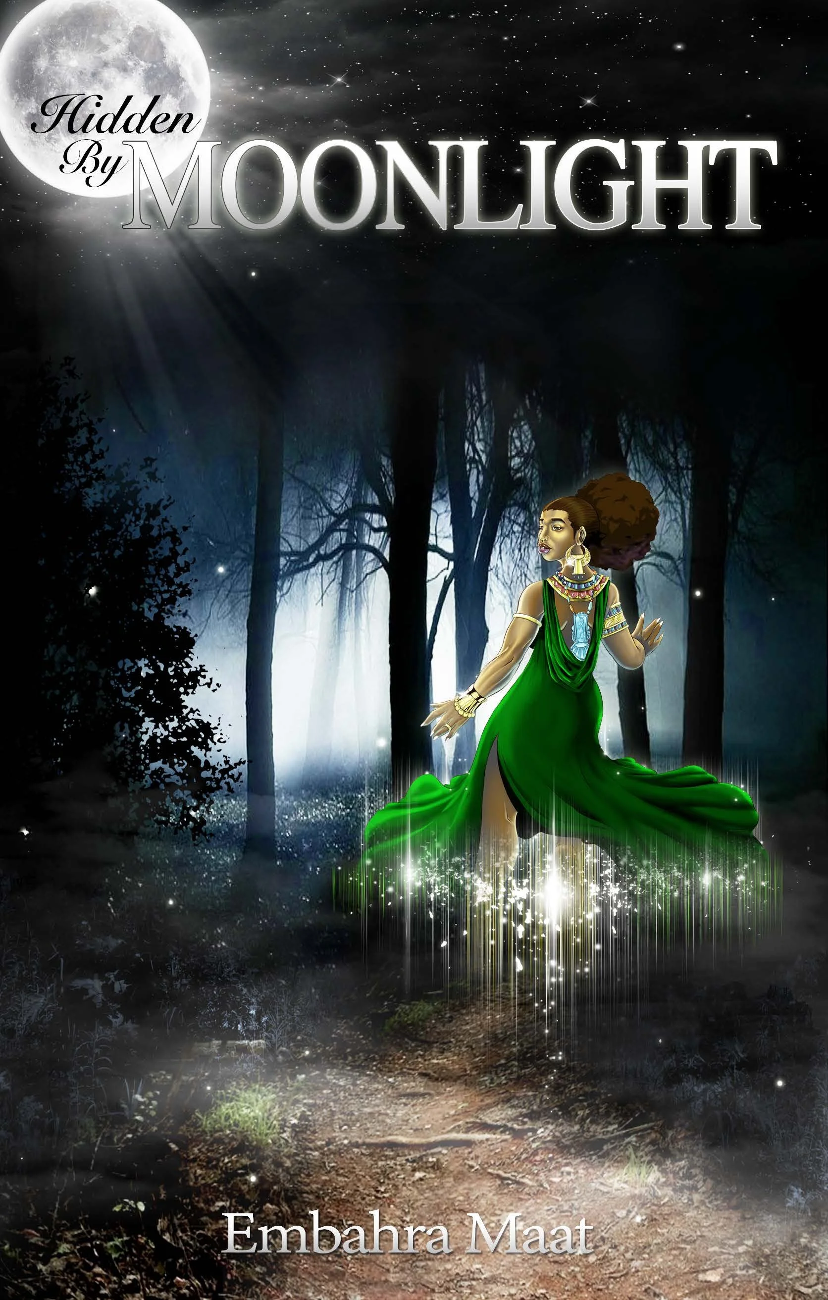 Hidden By Moonlight