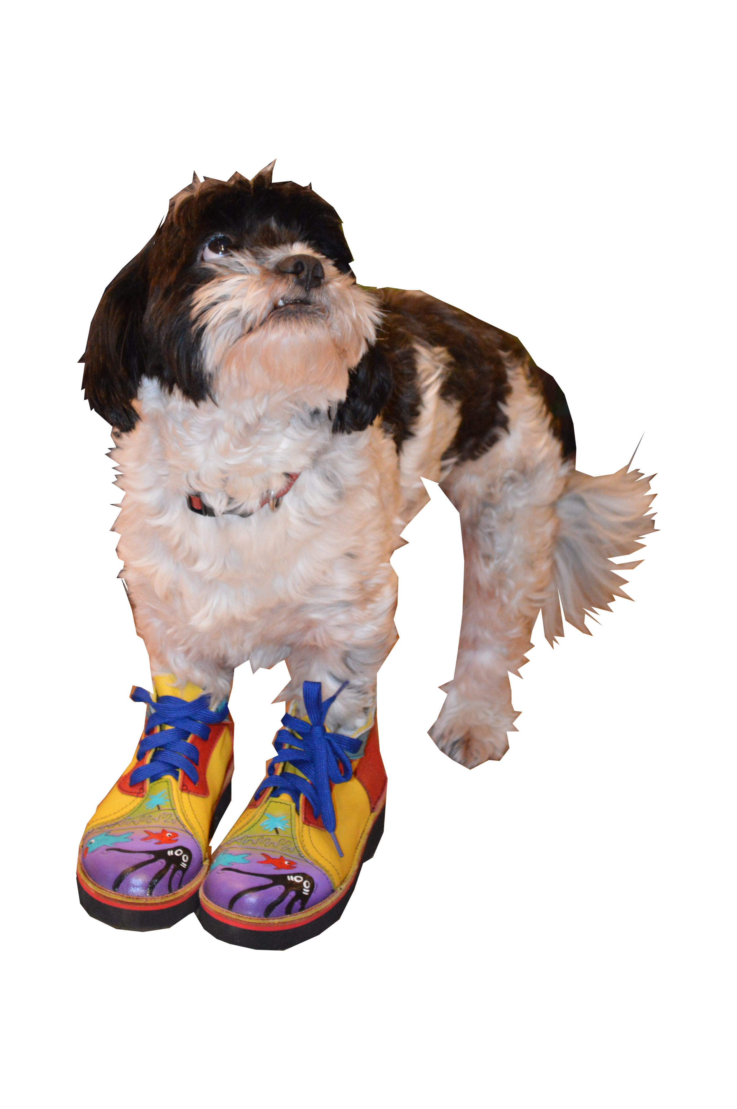 Charlie looking KOOL.png