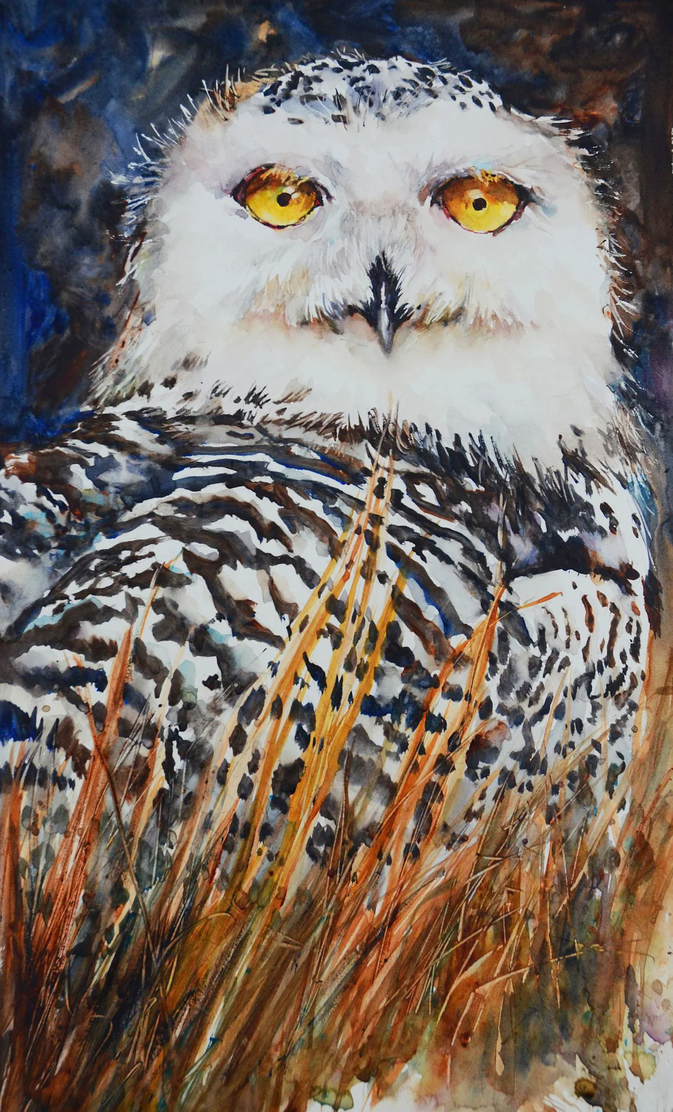 2014 Mensa Member 12x19 sm.jpg