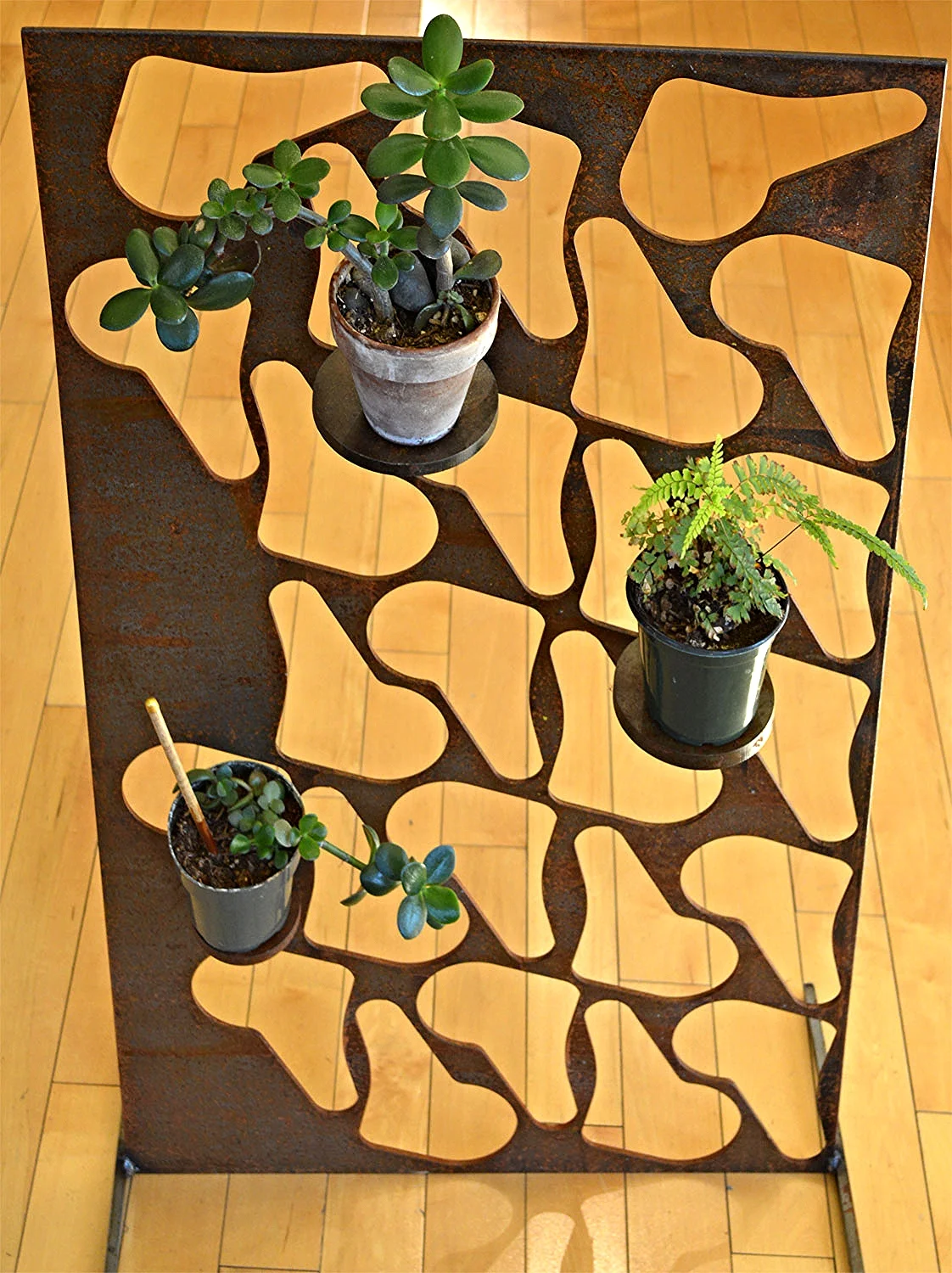 LEOPARD PLANT SCREEN