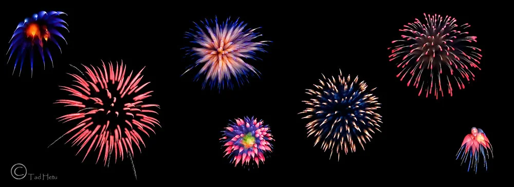 DYE INFUSED METAL PRINT, 34 X 12&nbsp;