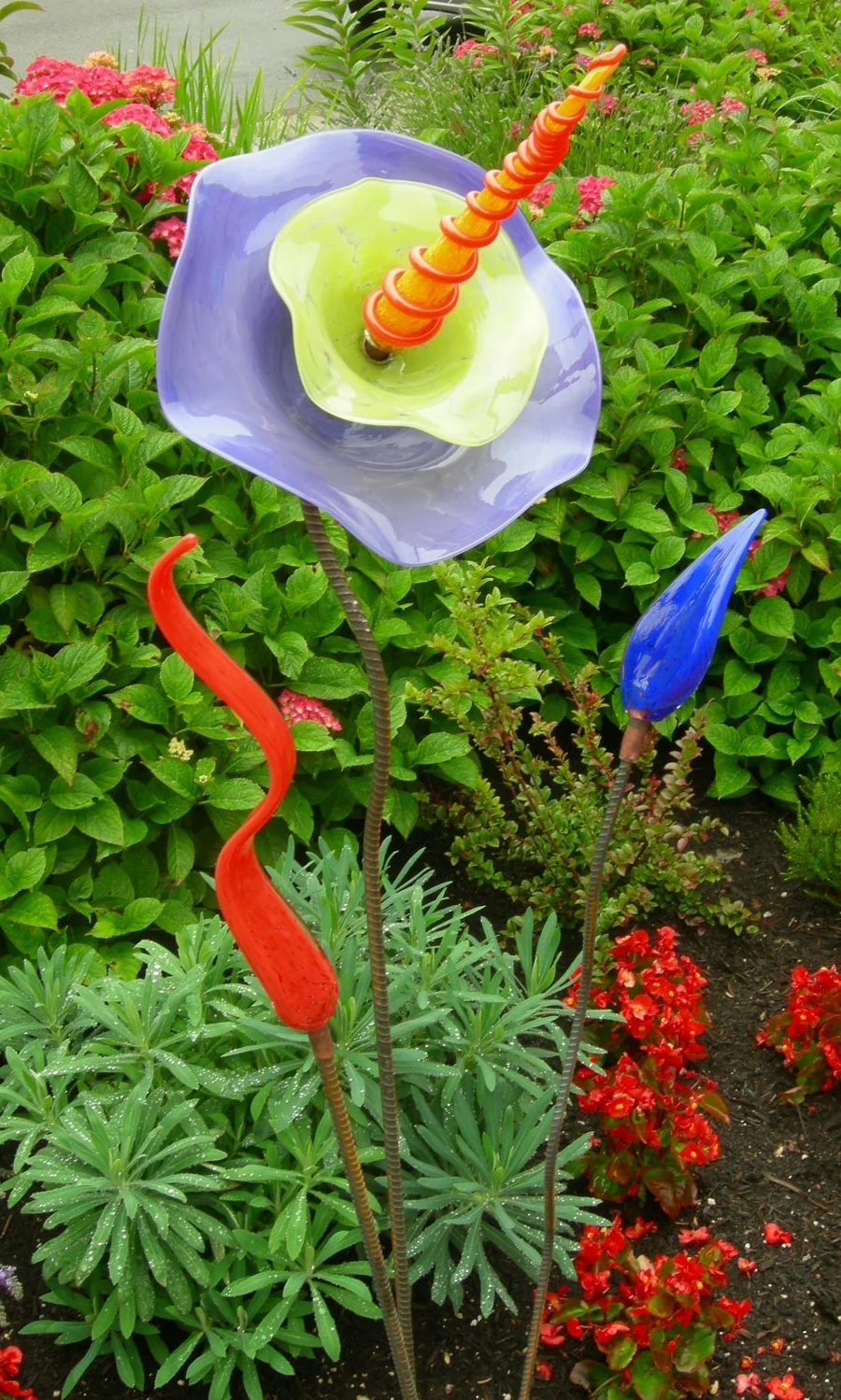 wildflower.jpg