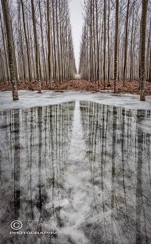 WINTER'S CORRIDOR