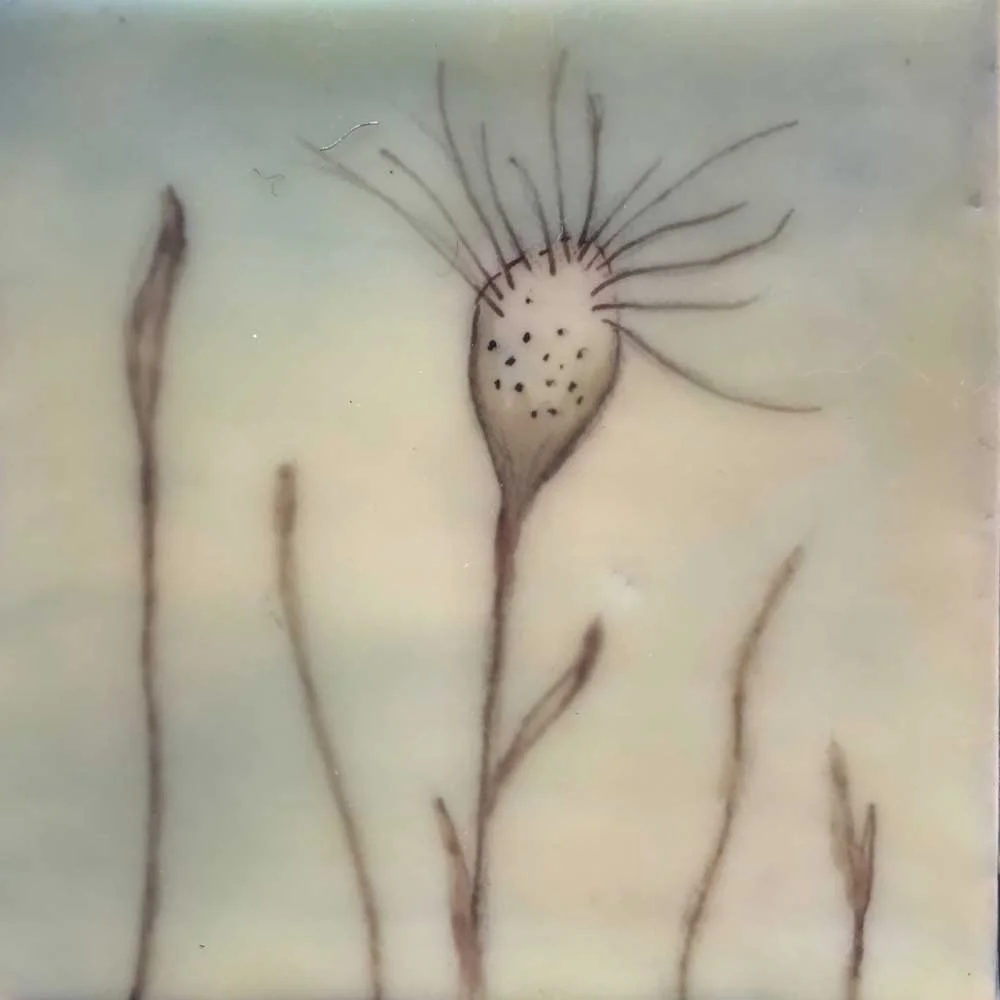 THISTLE