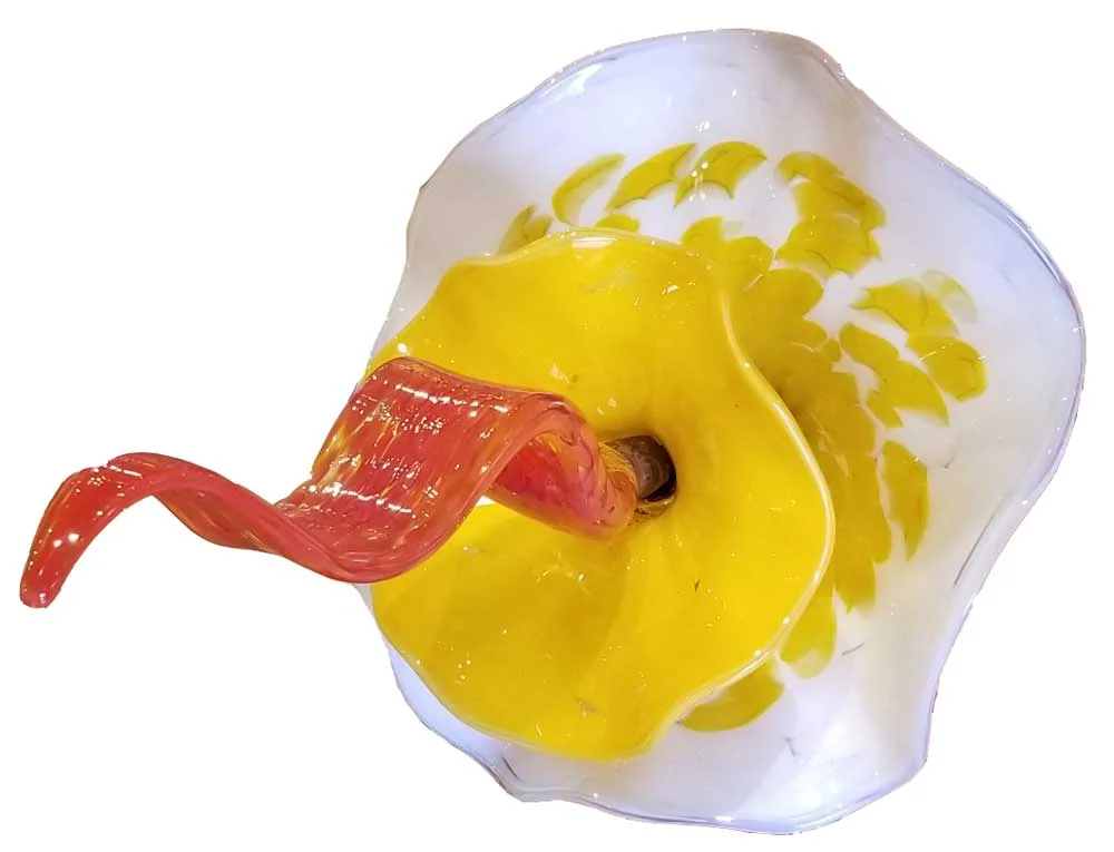 FLOWER GONE WILD
