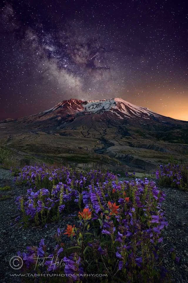 STELLAR ERUPTION