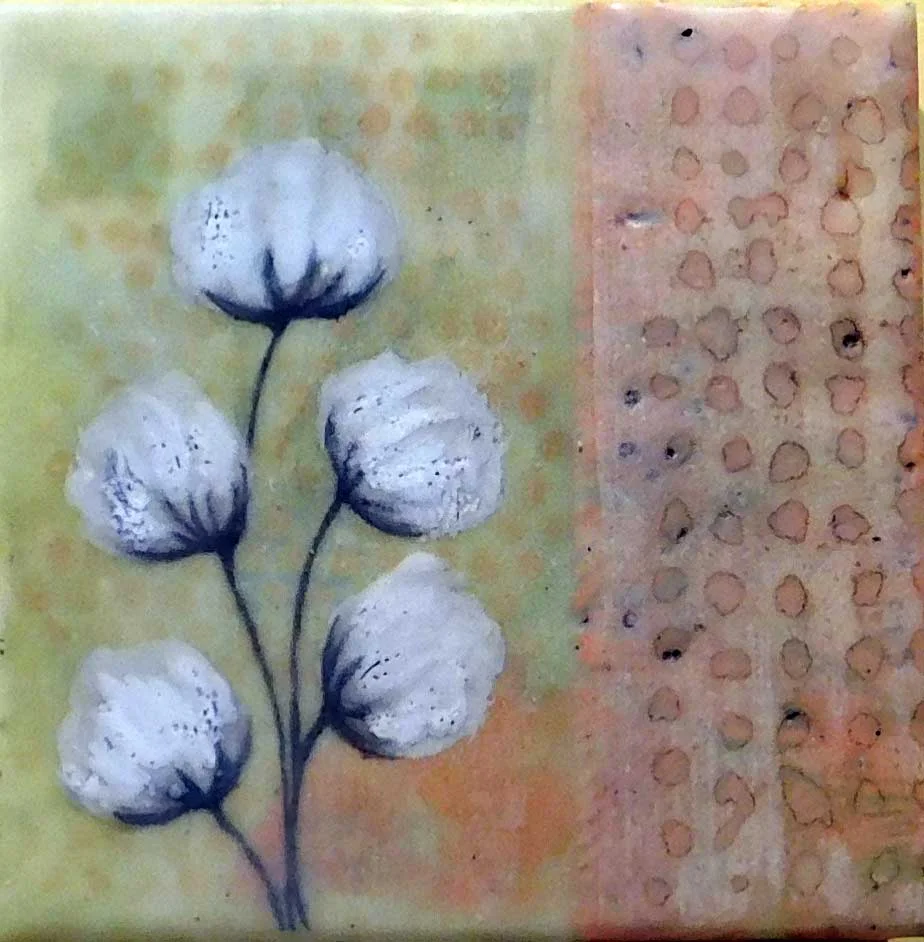 COTTON (SOLD)