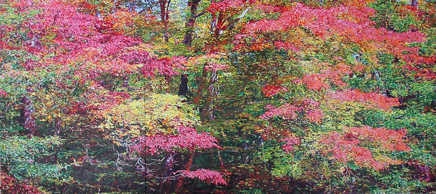 HARLEQUIN'S TRACE (SOLD)