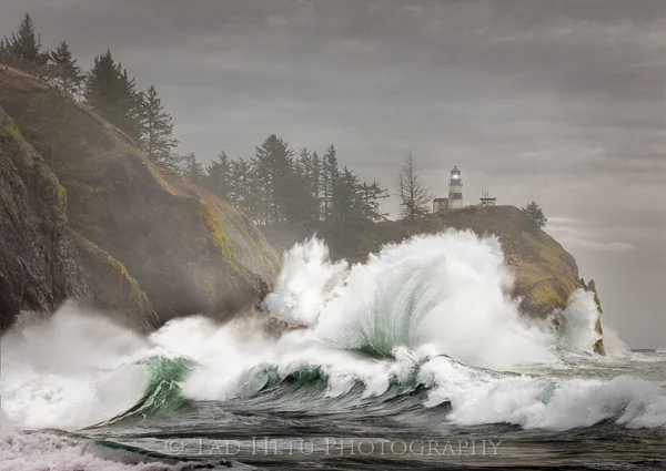 CAPE DISAPPOINTMENT