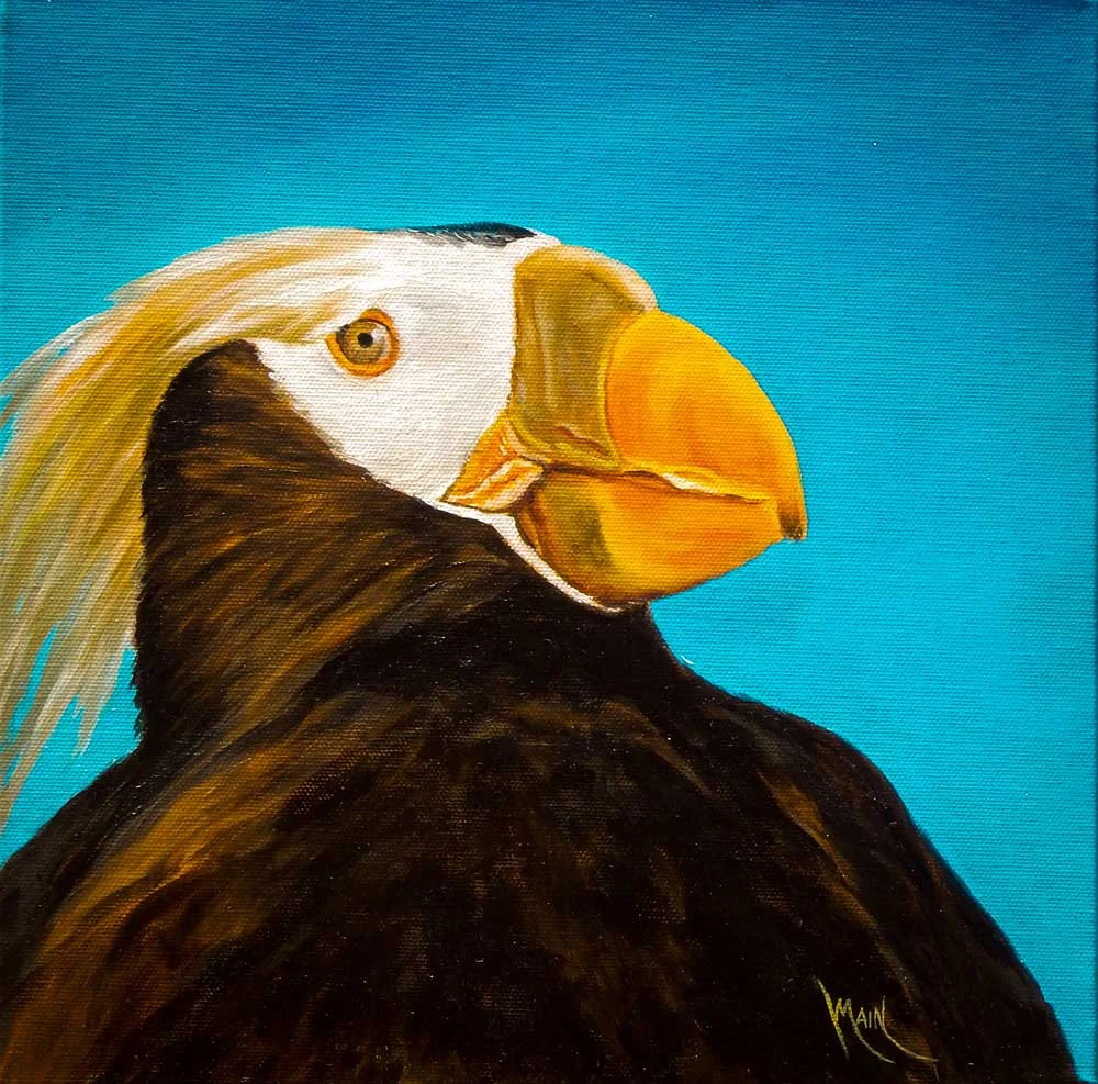 TUFTED PUFFIN