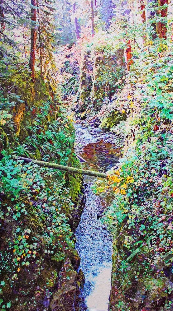 THE PLUNGE