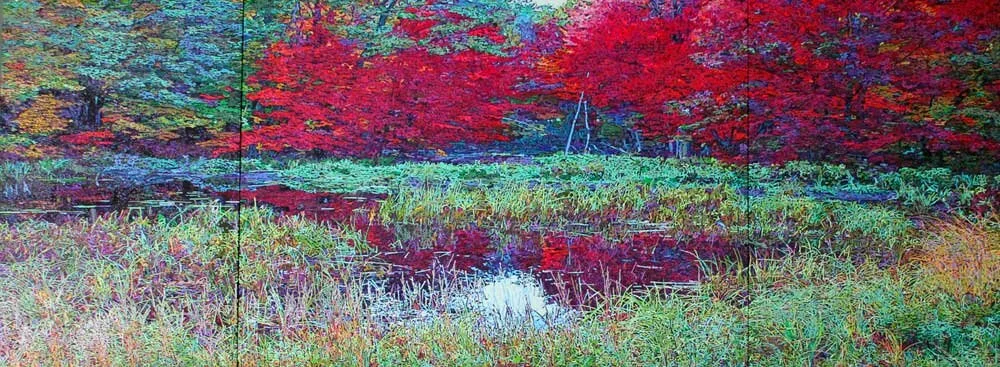 WILDNESS (SOLD)