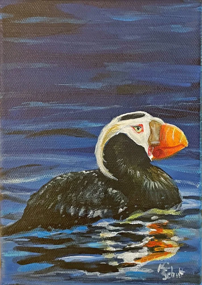 PUFFIN-12.jpg