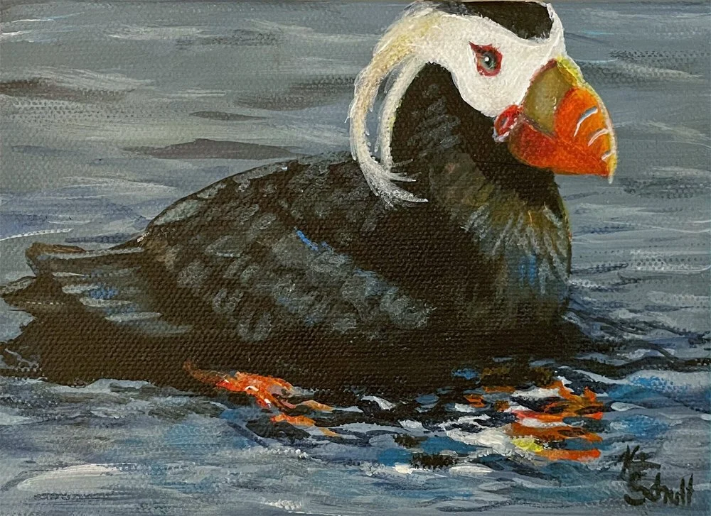 PUFFIN-8.jpg