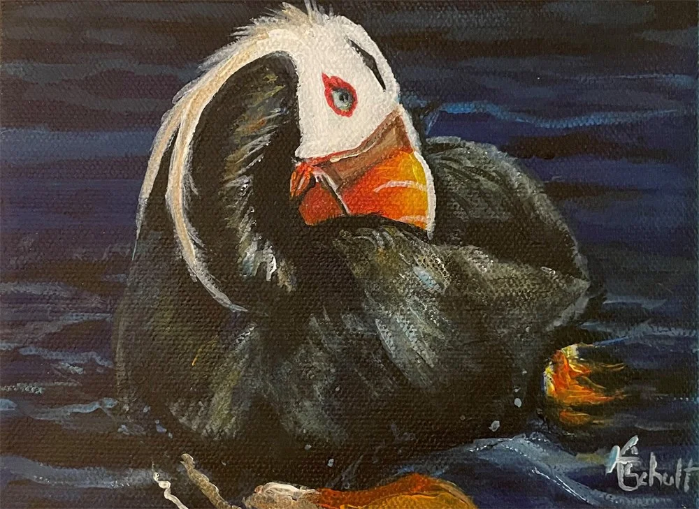 PUFFIN-11.jpg