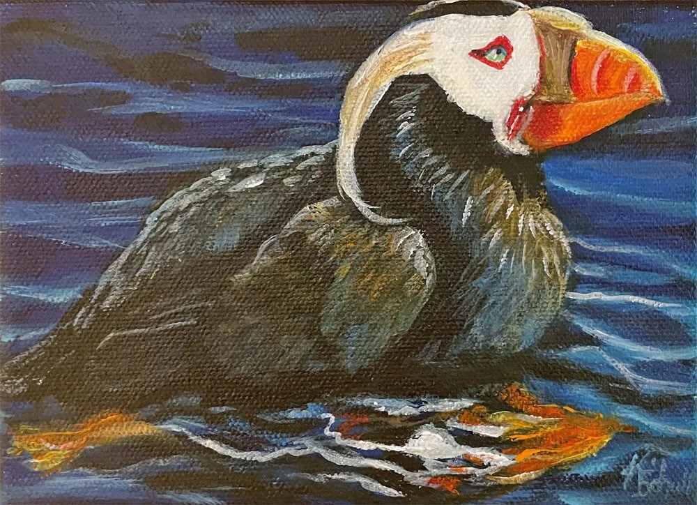 PUFFIN-13.jpg