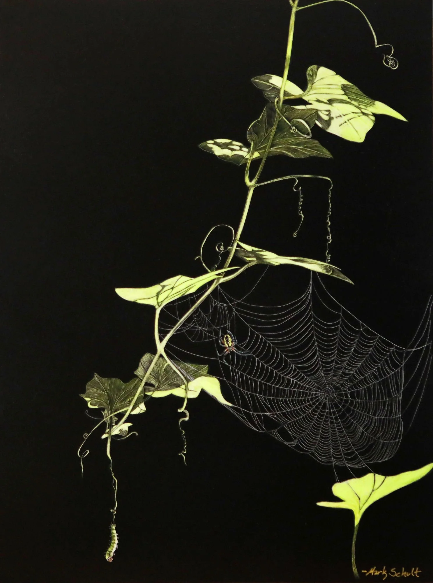 THE ONE THAT GOT AWAY (SOLD)