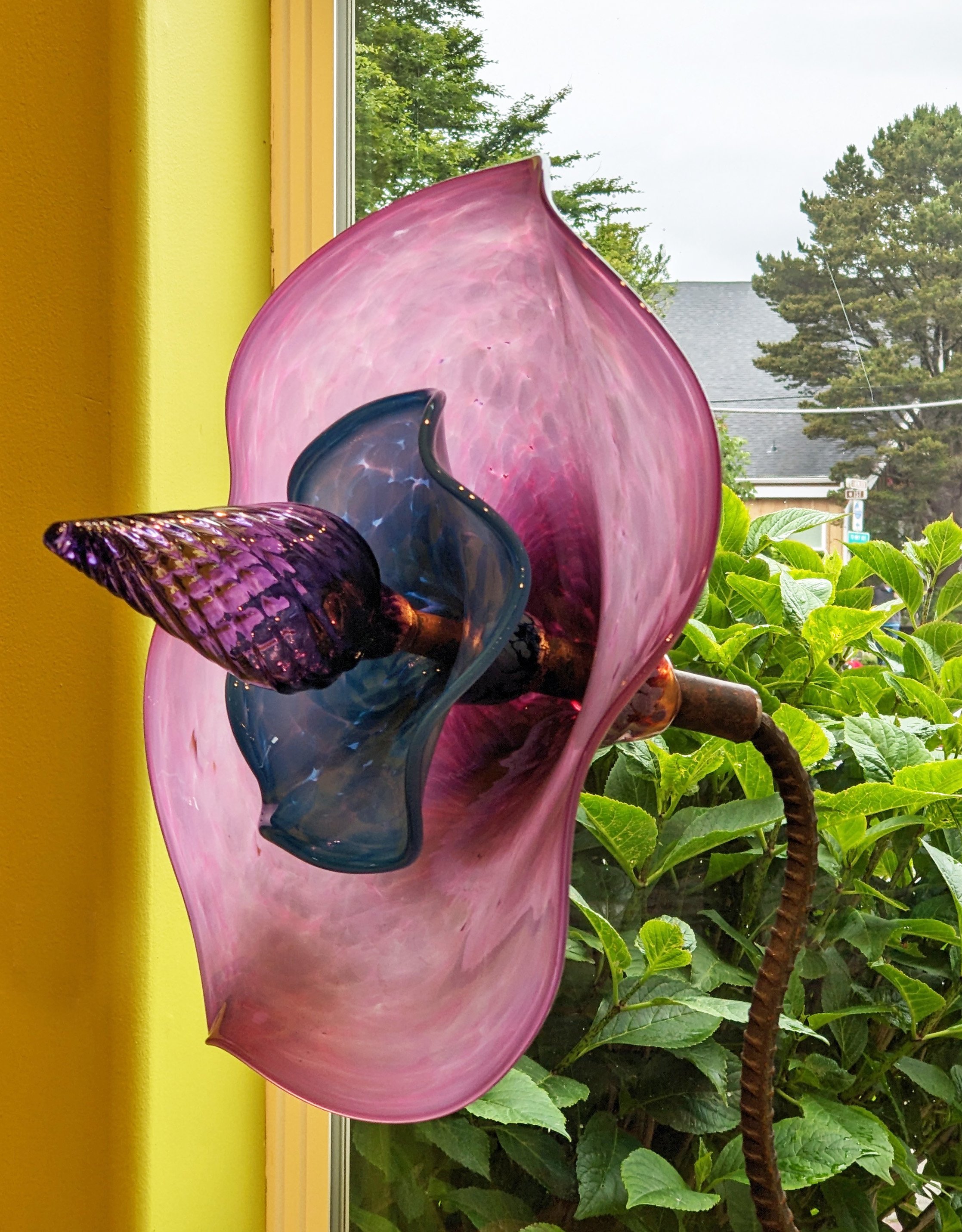 purple flower.jpg