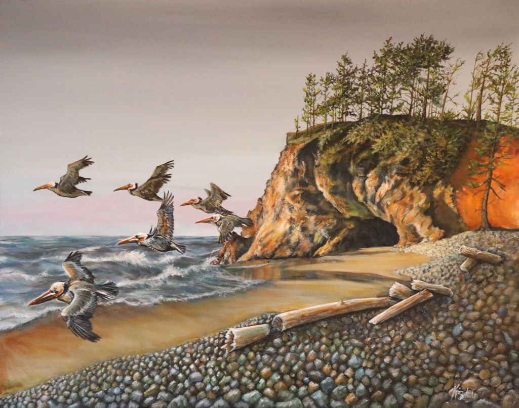 HUG POINT PELICANS (SOLD)