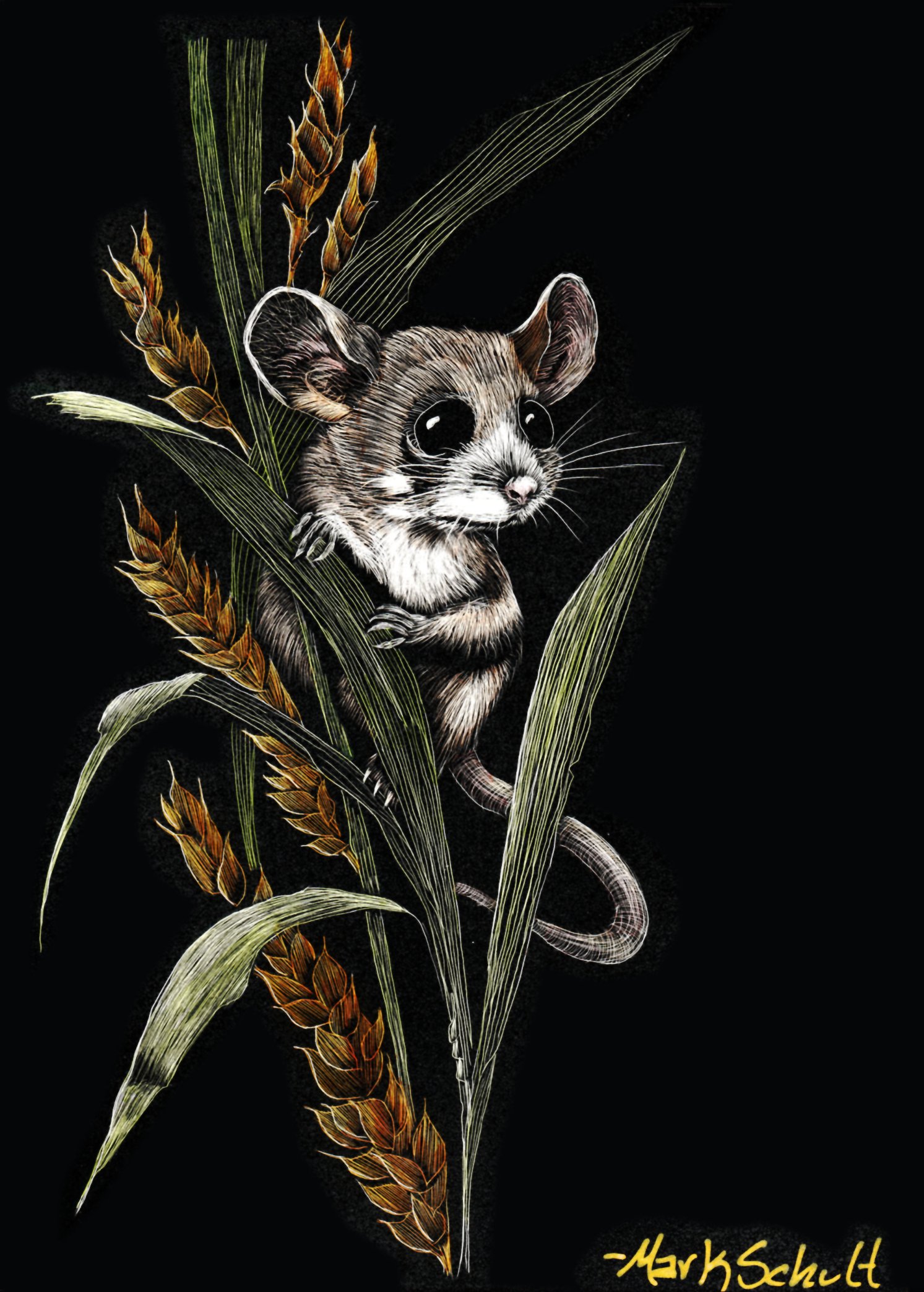 COUNTRY MOUSE