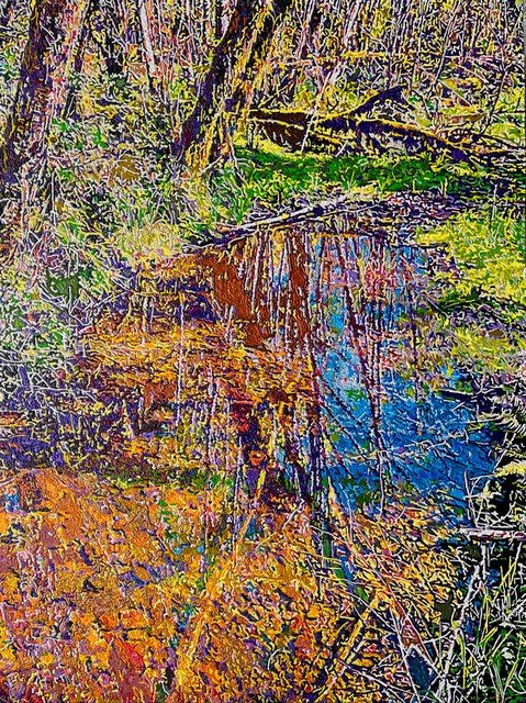 Clarity Creek.jpg
