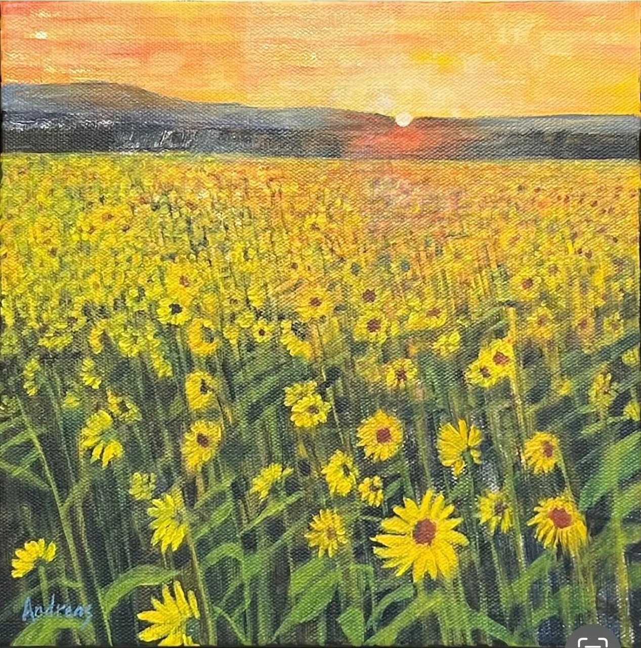 SUMMER FIELD
