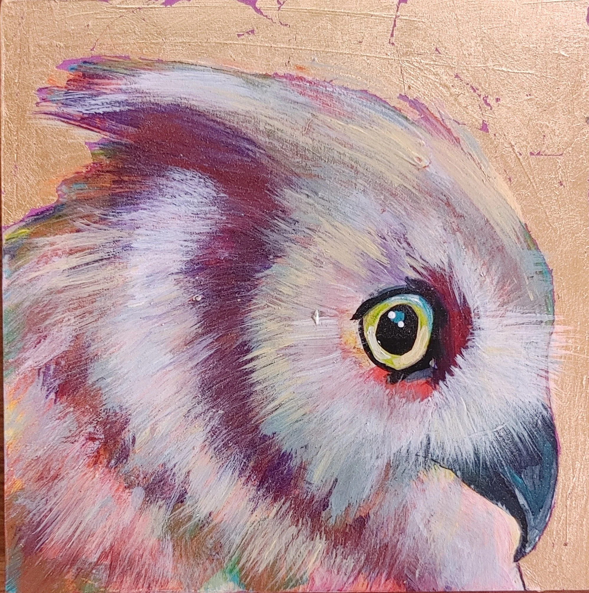 COLOR OWL 2
