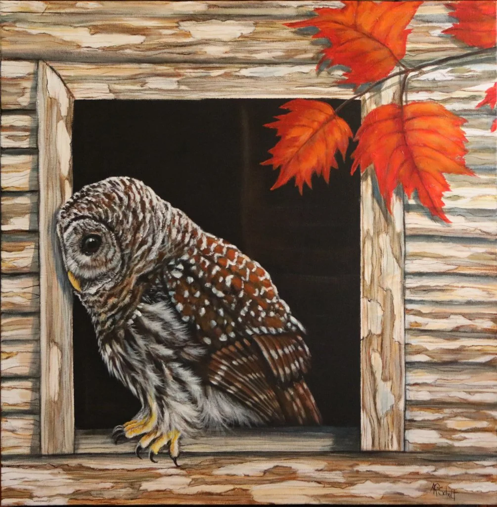 OWL ENJOYING FALL