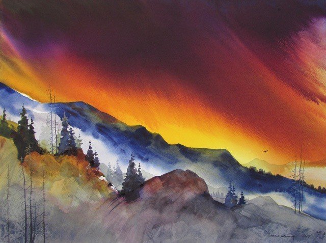 WHAT THE LIGHT UNCOVERS