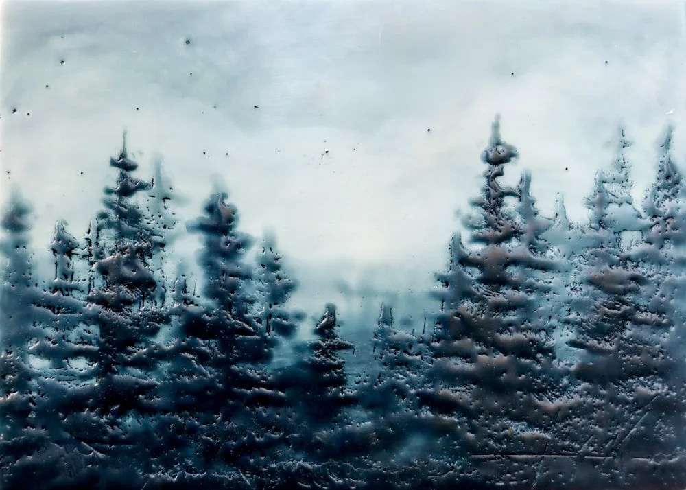 MORNING MIST 119