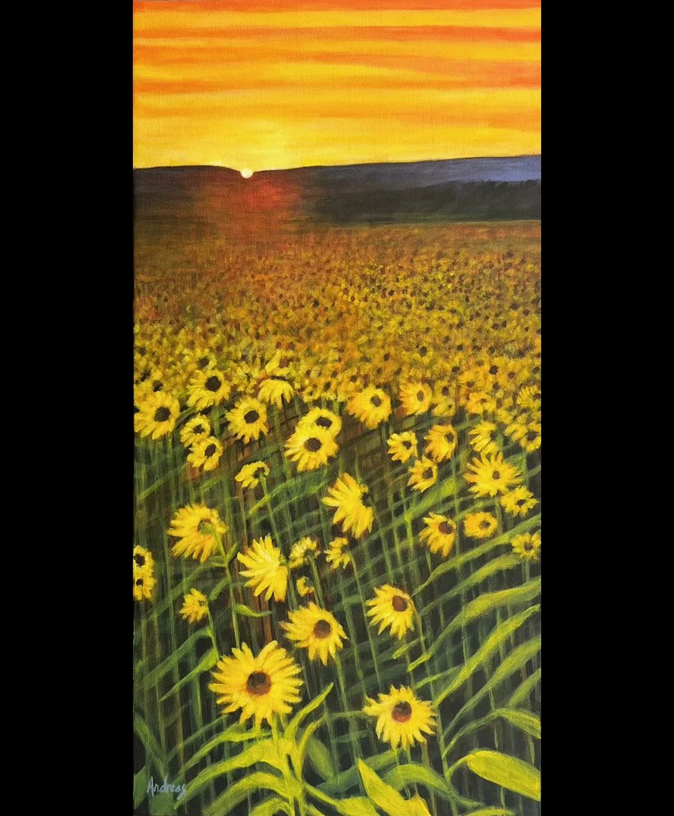 SUNNY FIELD