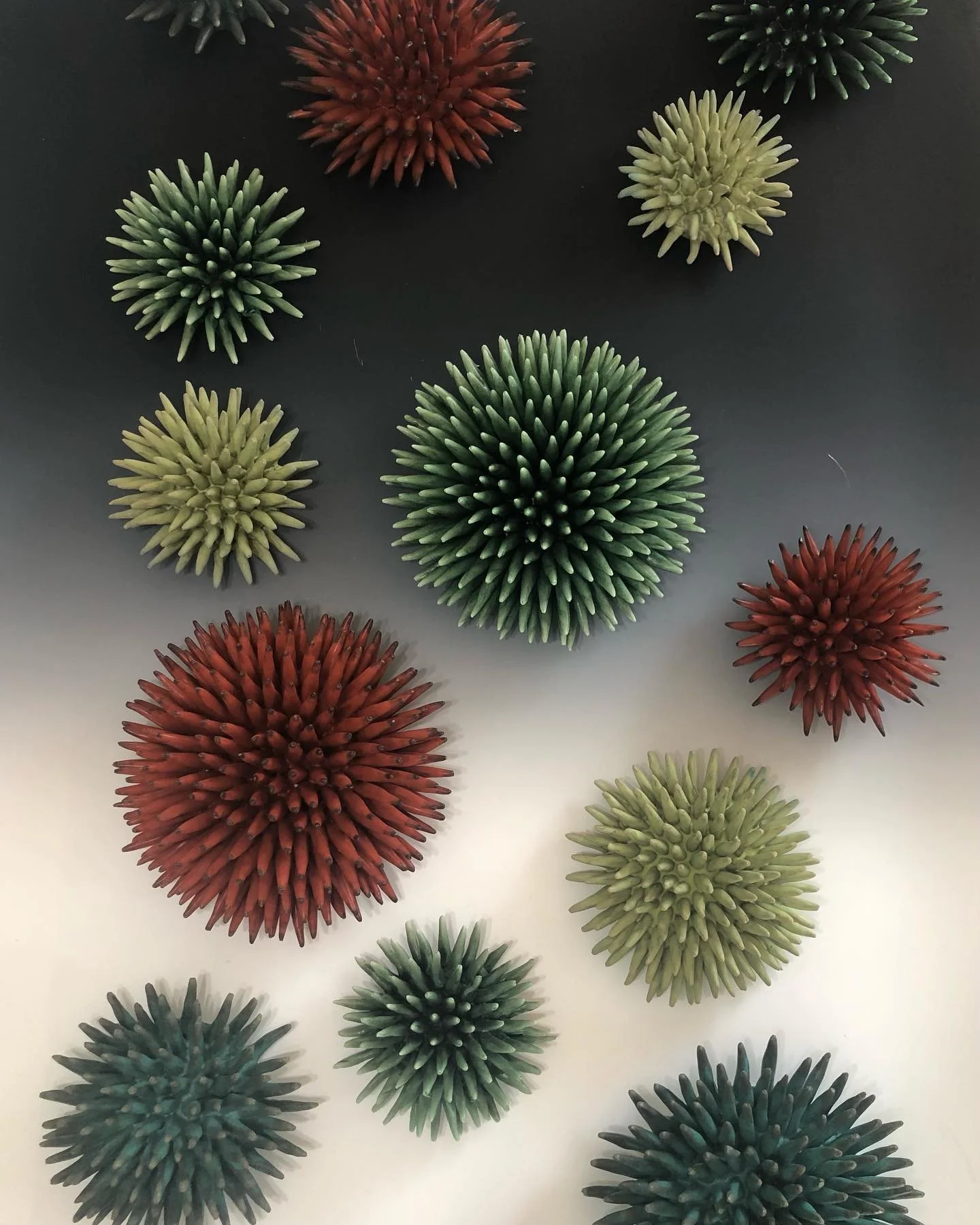 URCHIN.jpg